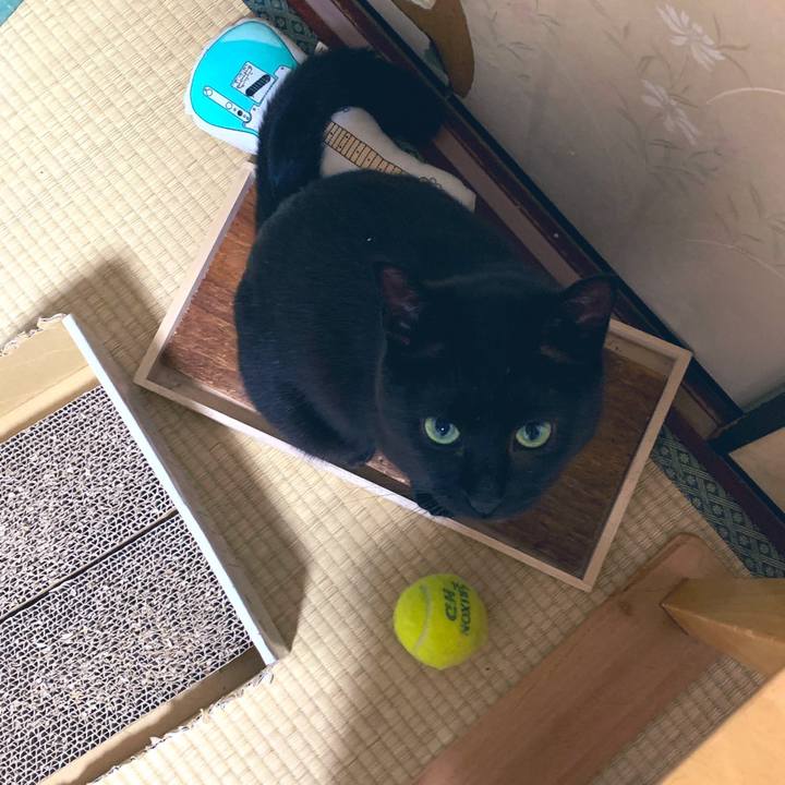 03525721 8547 4dd4 8228 f3039270e115 1561631293318