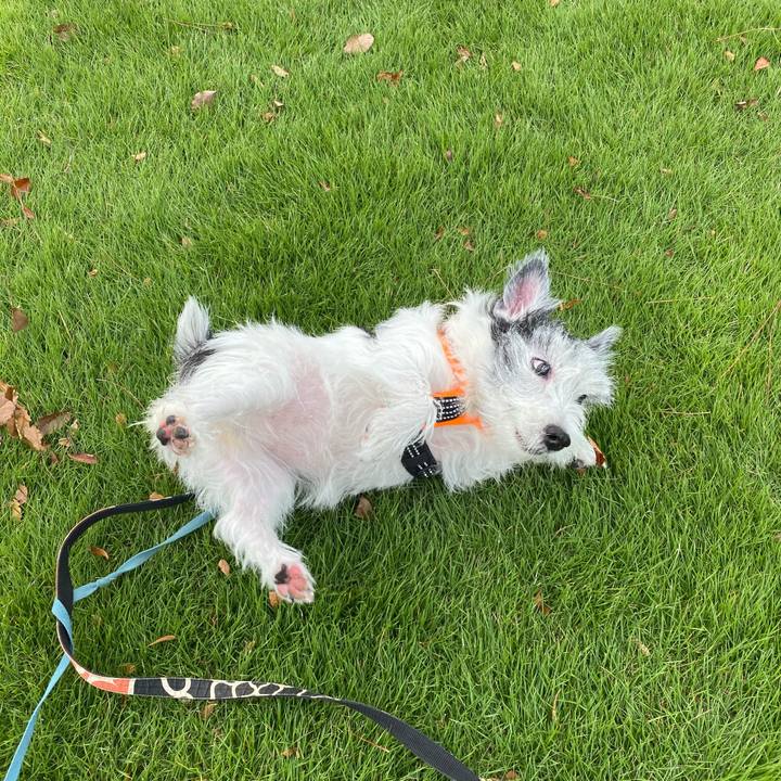 0352676d b976 42a3 a103 1d469c7d7858 1572097634033