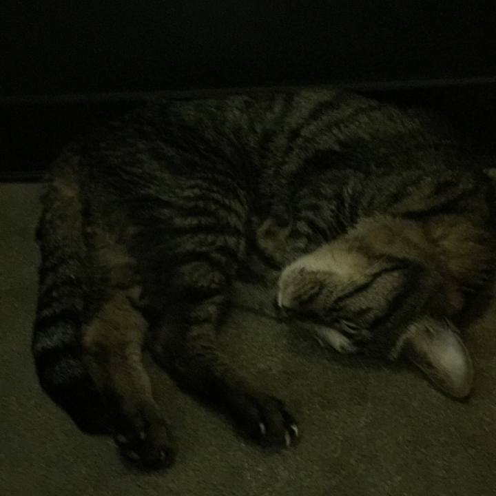 03532db1 e0ed 4fdf b82f 30797c241a44 1533896755669