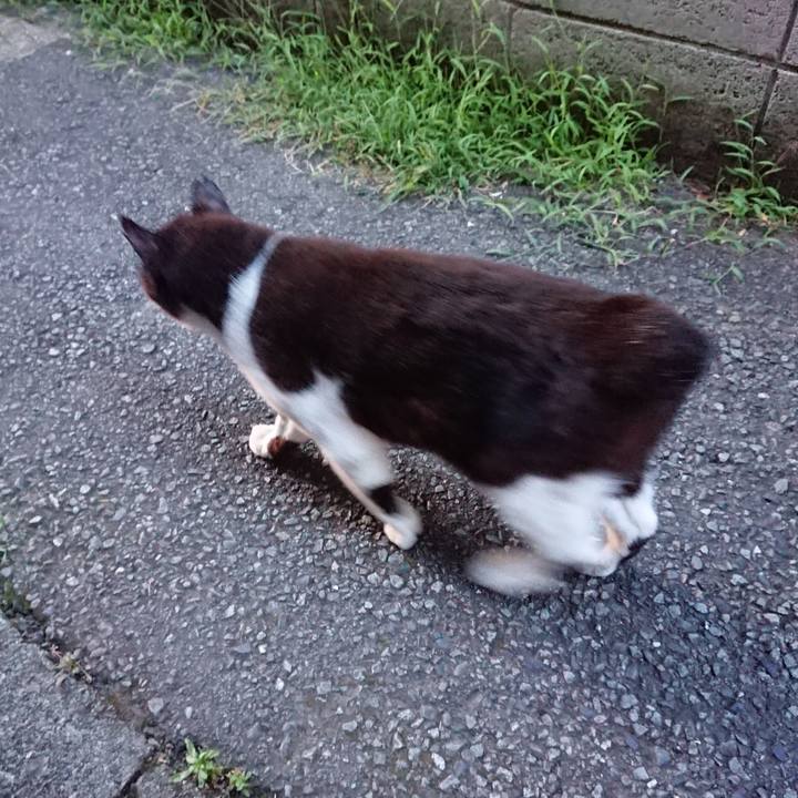 03536147 68b0 4ea9 b865 401ce951f548 1690537732991