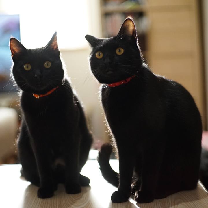 0353c496 d49e 468a bd89 b29a6004feea 1615267459895