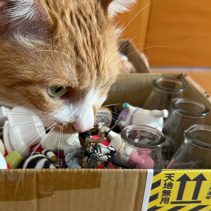 0353c7c3 2716 42e0 b24c 66d6d489260e 1766997451120