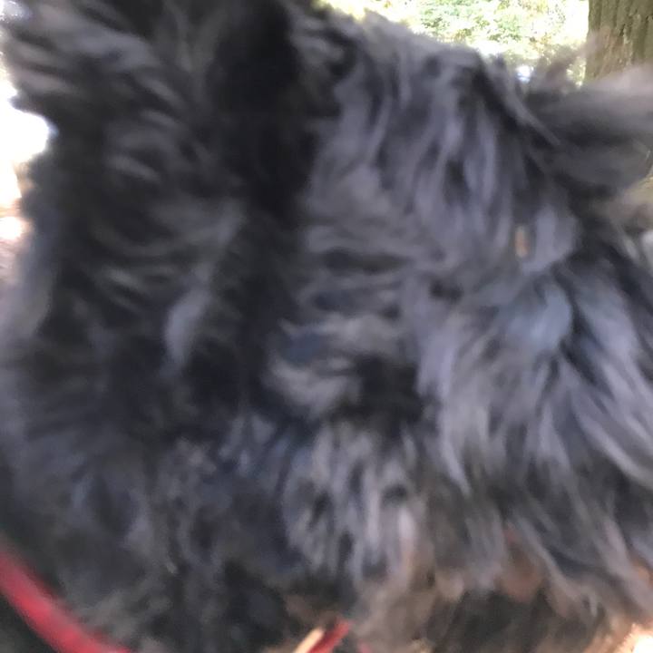 0353d6ef dbd6 407e 9929 0ed00aa61ba1 1540105401719