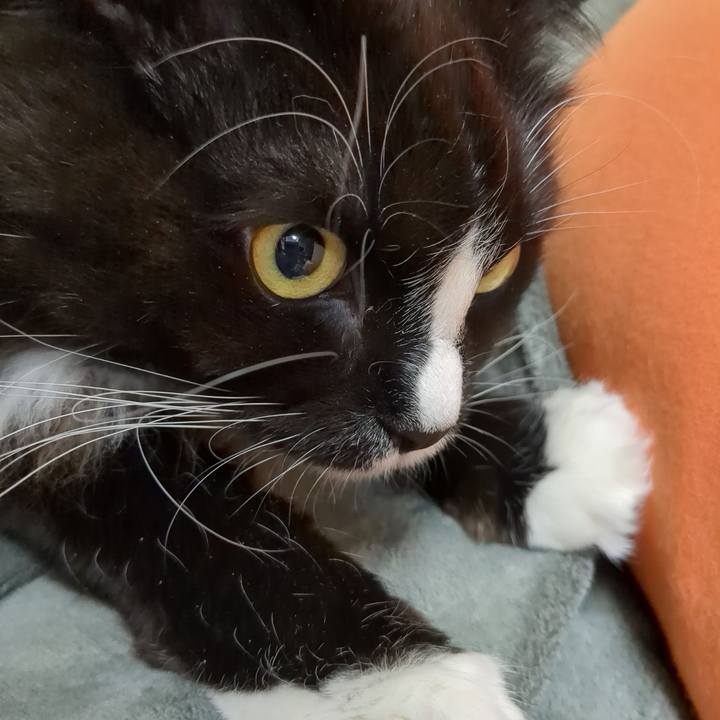 03542f78 7331 46a3 ae3b eda5bc13e89c 1674546259258