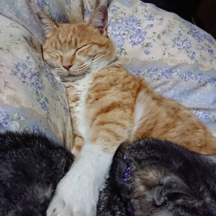 035431f7 dec4 4973 a167 3d1818ac527f 1578915752841