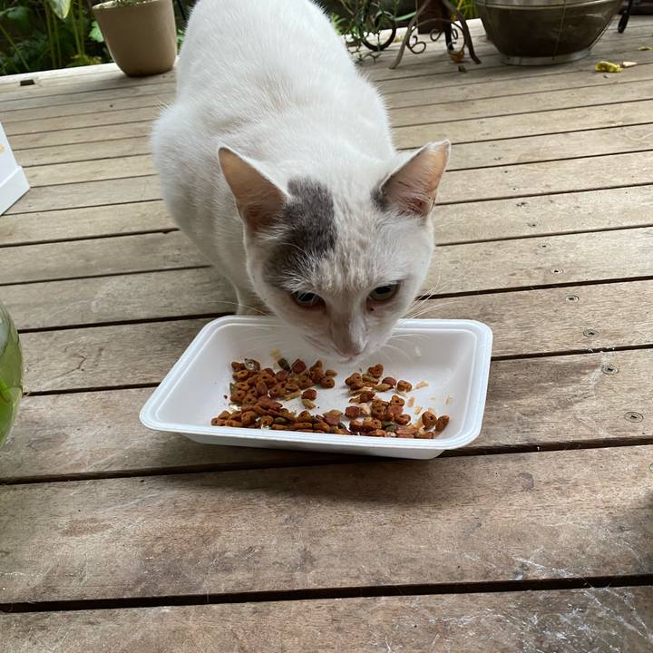 035446bf 02a5 4a84 900d 06c3a978db0b 1665618745387