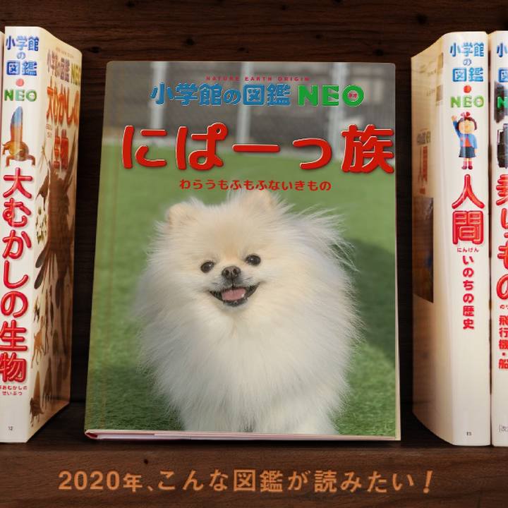 035470b7 103b 4f13 97af 7da79420a954 1578219858916