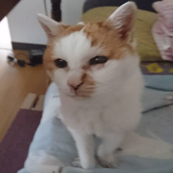 03547f5c 2002 47cb 8876 baa79d5079f1 1600775371435