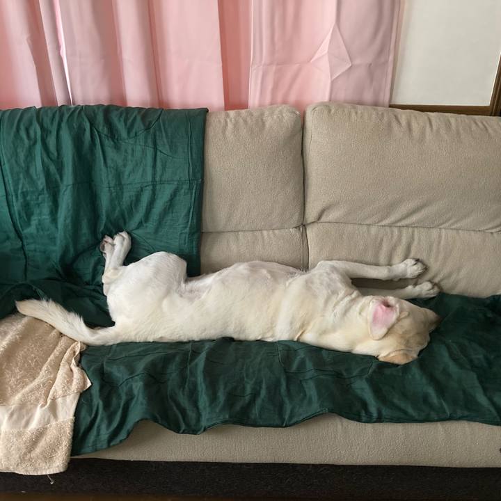 0354969f 20aa 4288 b67e 1e2805c348b8 1715768944746