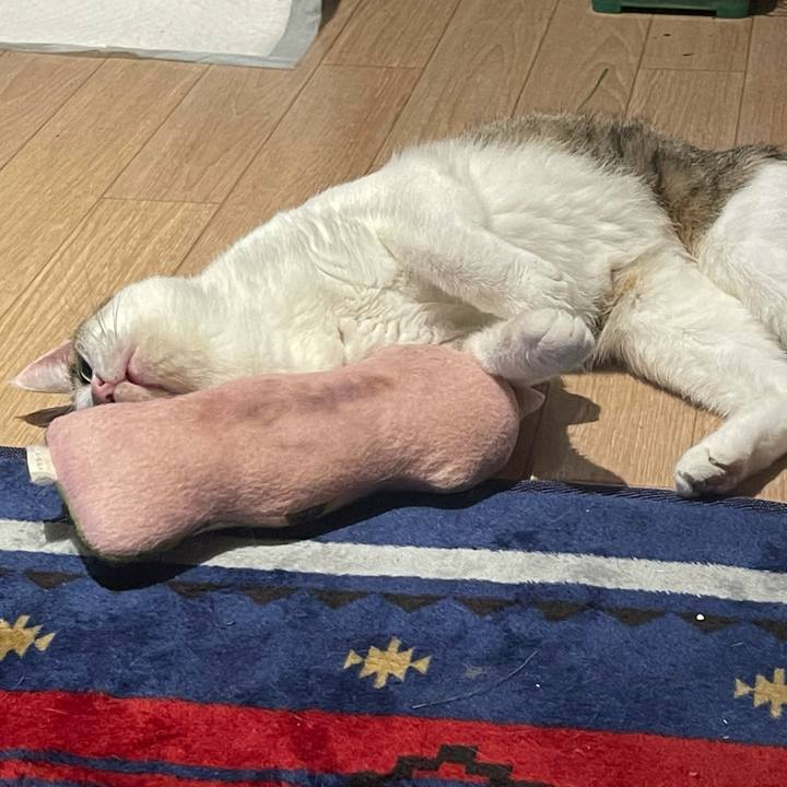 0354a545 7359 4d18 9f21 5df6a18f2e51 1629712837795