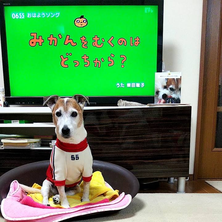 0354c560 658c 49fb a28e 41c0e59520f5 1576749940983