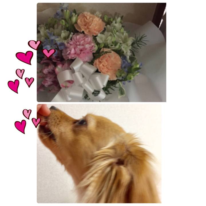 0354da67 9aa3 455a b1fb f9b333e38077 1526181717485