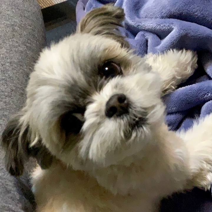 0354e1f4 5db6 42b8 b7ae 1a418d24d1f8 1585810141583