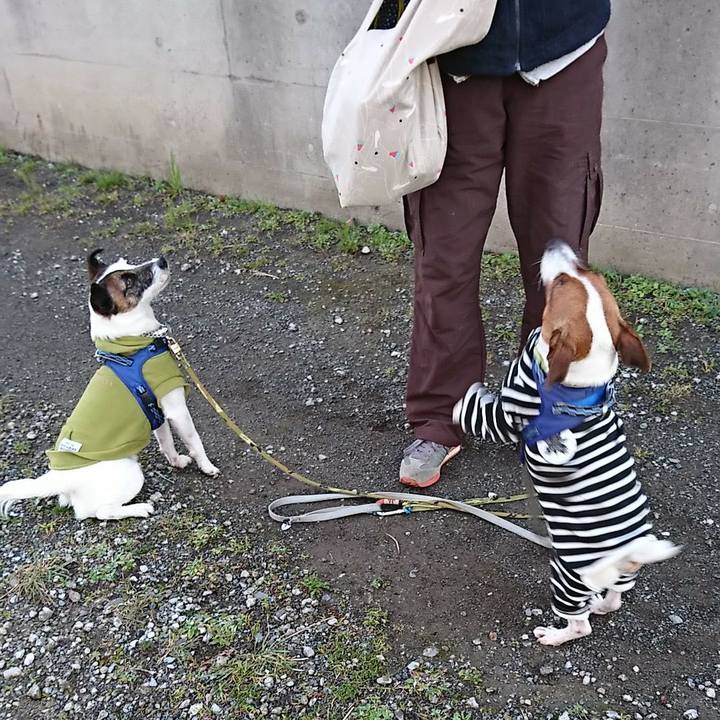 0354e885 6cb9 444f a4cd db7f7dab7731 1582759422028