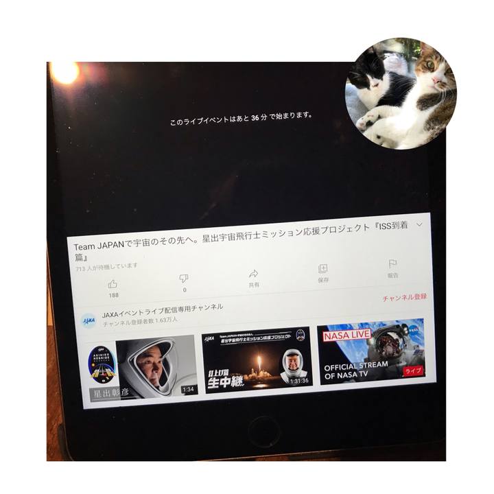 0354e8dc 98fb 4314 abbd cb740996106c 1619257472479