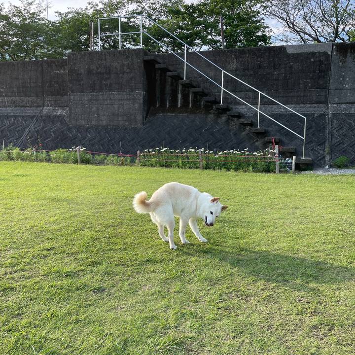 0354e902 11fb 40b0 bff7 3fad8202daae 1653996247297