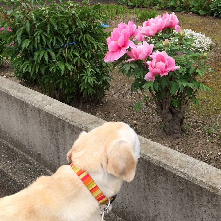 0354fb73 0531 4d96 88a7 6d8c1198079e 1526171678602