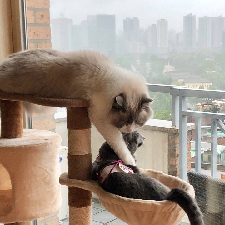 03553357 37fd 41f6 affd d68e397d0a14 1589534998878