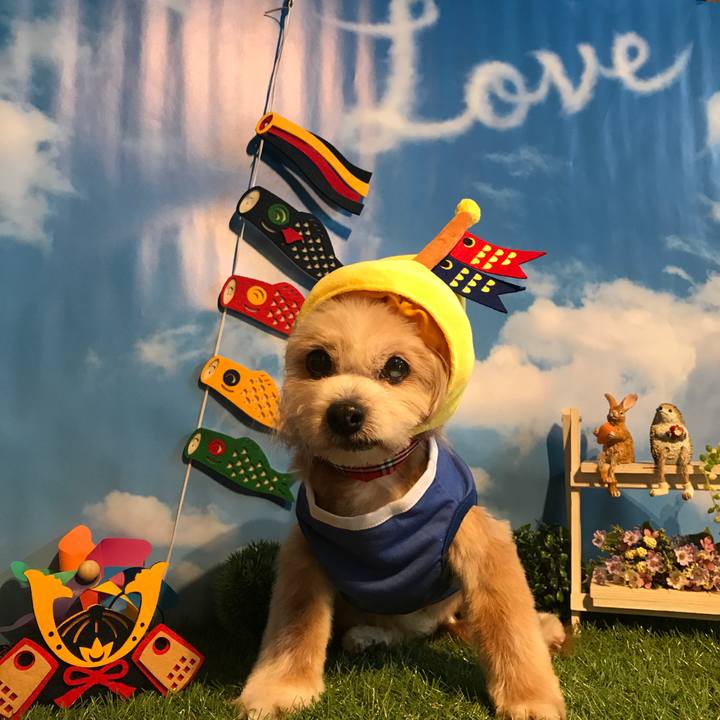 035563b2 2cd9 4746 8a2b 0e93bada8f5c 1525394858097