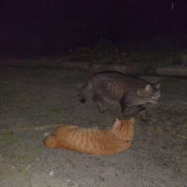 035565d7 fde5 4fc7 ab0c e601200f5ca1 1684327572398