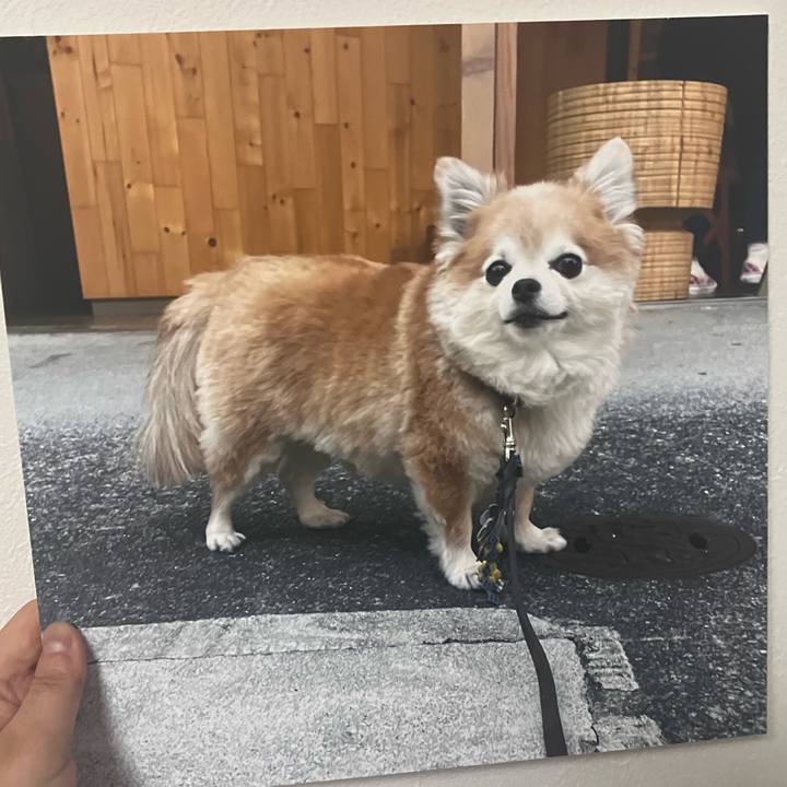 03557395 8b73 4c41 a289 03fd14b61a99 1763438447458