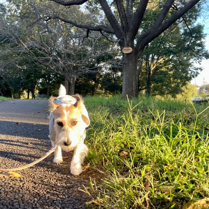 0355761d f84b 436f 927e 819468bd839f 1666351606806