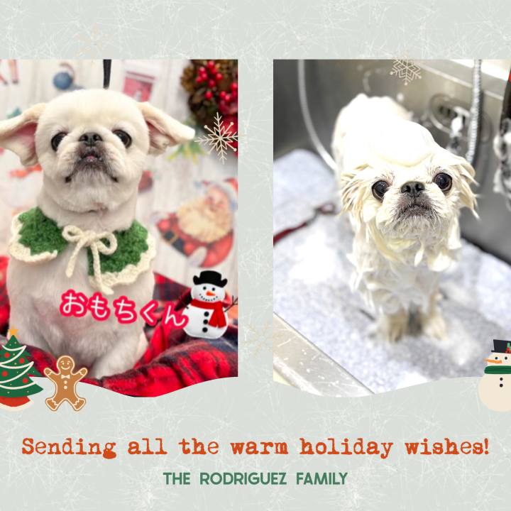 035576aa f187 424b 8119 54df7e44dc17 1734224372281