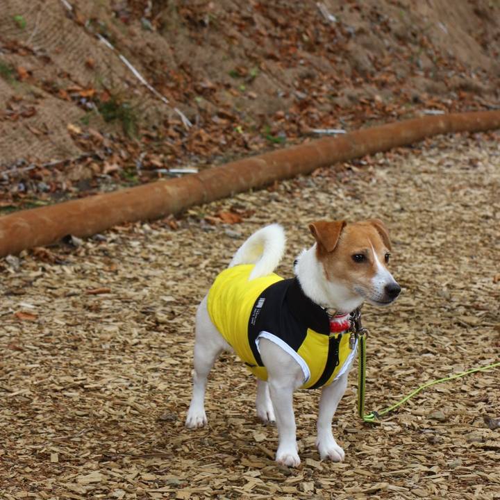 0355b347 6487 4dc7 8a7f c30f369c0a89 1606545221907