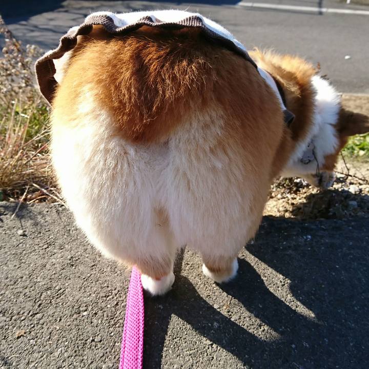 0355c2f8 d25e 4480 80dd 8418767177ec 1547714922625