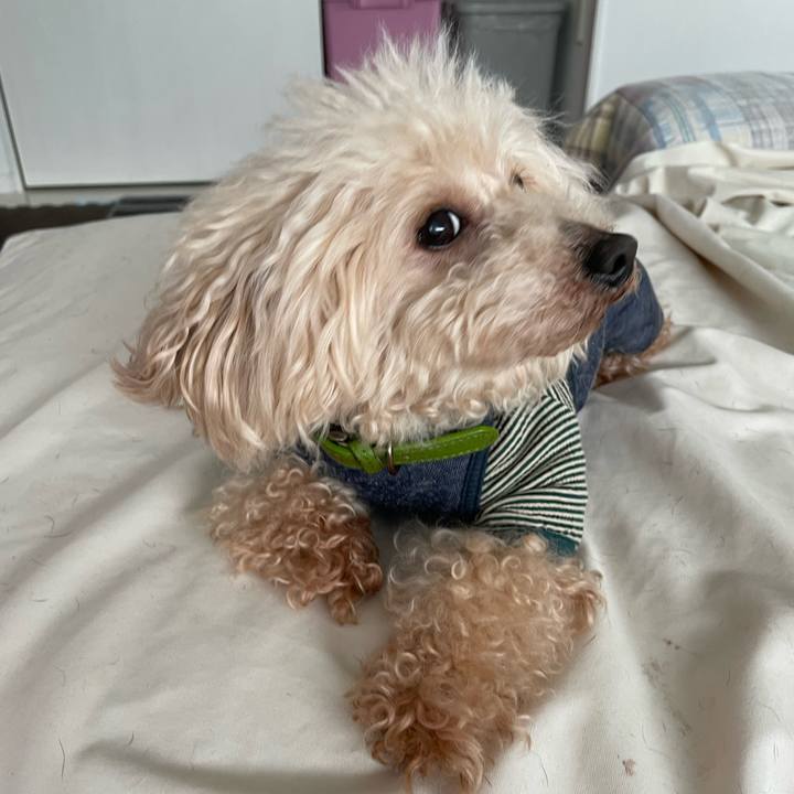 0355c49b 63a2 4641 aaa0 48f0ccfba783 1651444828924