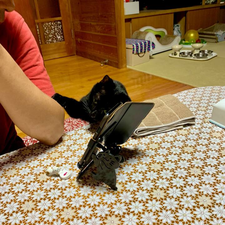 0355d01c c447 430a aa10 106741fdcf4d 1634123723279