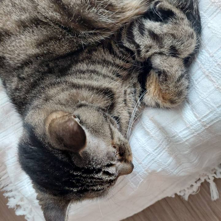 0355d4e0 95f0 442b a29d 4b7a66f2ad2b 1634453005341