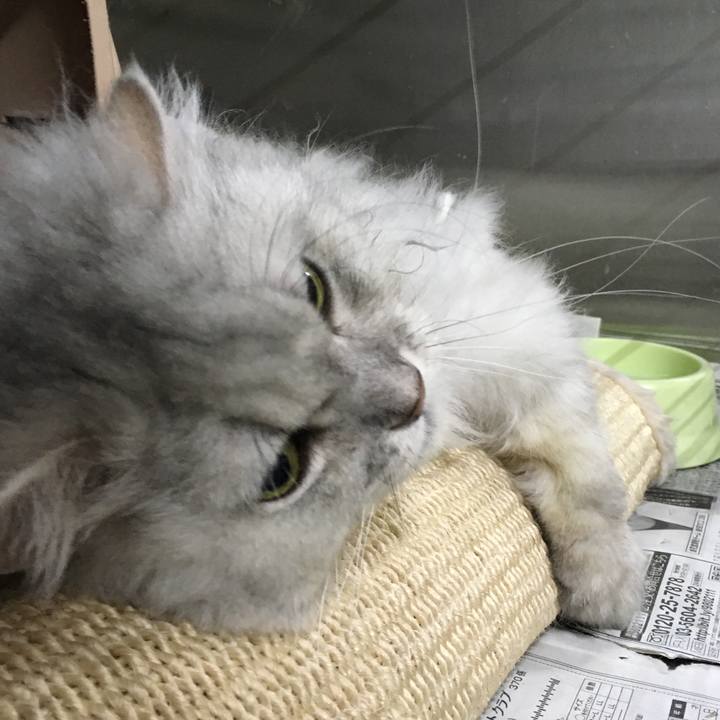 0355ef4a edf6 4314 9220 e60847f72300 1526099851382