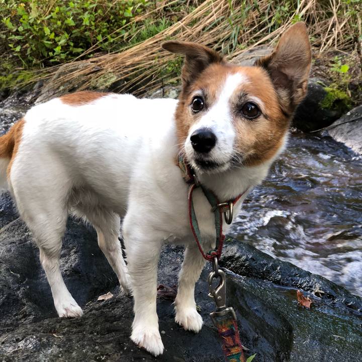 03560e00 4a25 405b 8c39 ce7bff007c72 1538450080684