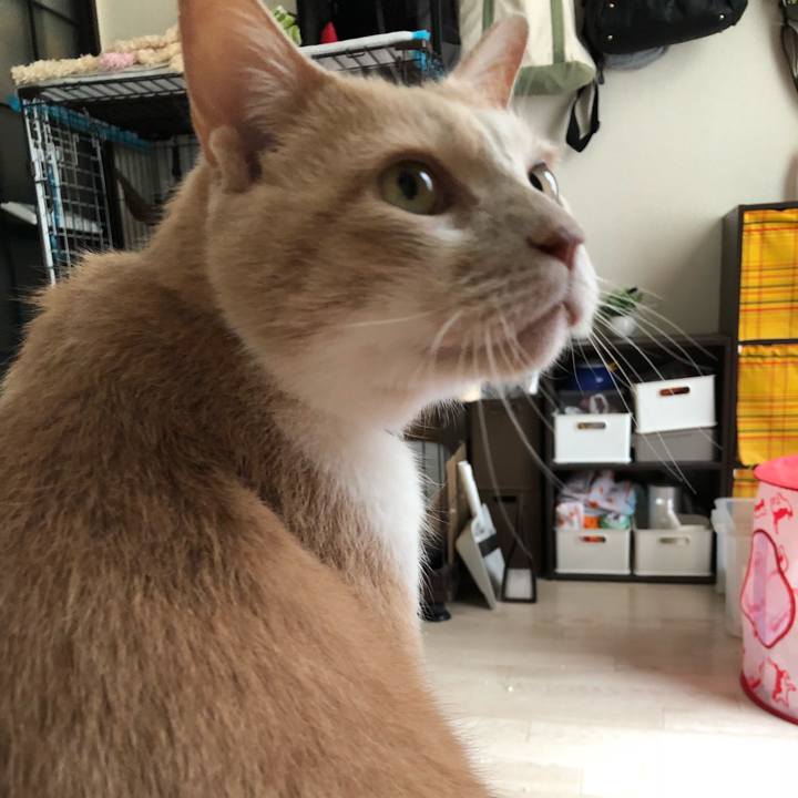 035618d4 7759 4058 9e0e f18e4e795b99 1524868315809