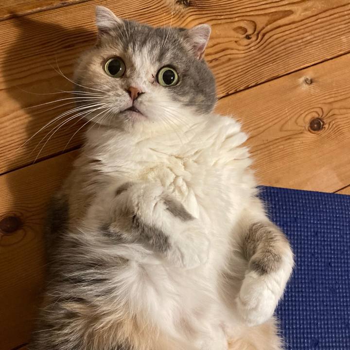 03562295 9ad6 41eb 98ed 0fa04613110f 1736236557866