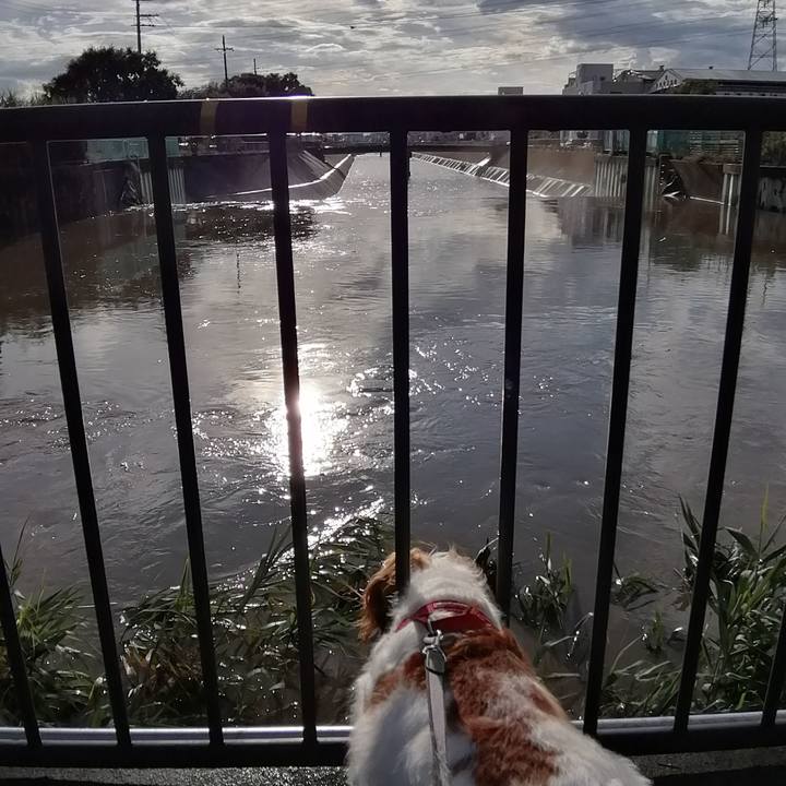 03564e25 cdfb 4c77 9803 aa858df6e98b 1567674354917