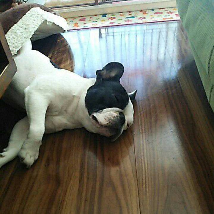 0356696f afd8 443e 9fbf d56b54a09e6d 1517814106968