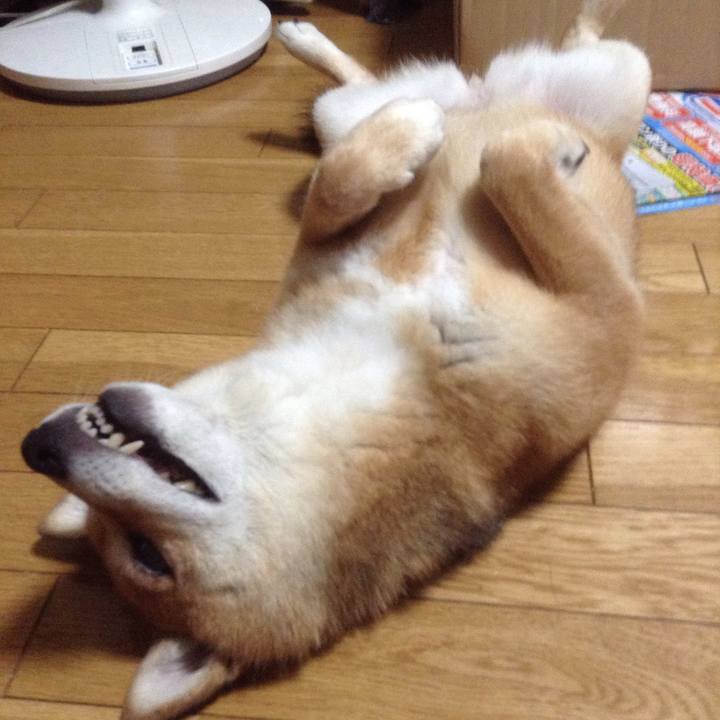 03567d65 4241 492e b3bc 368d10ec4edc 1530776249028