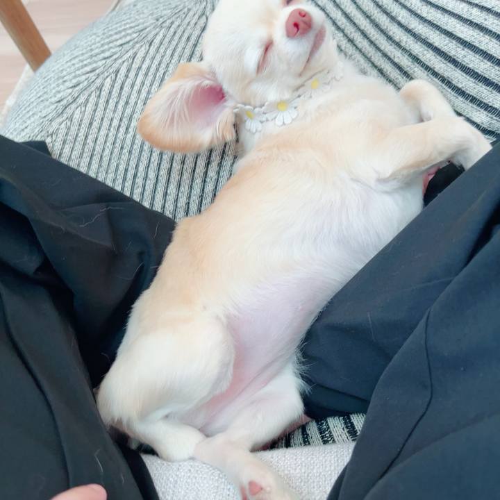 0356e037 a55a 4a70 bb82 7a1c5075bfcc 1685435044372