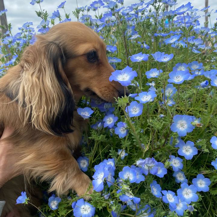 0357232c ad07 403b b3f3 5df1704a80e9 1652008295801