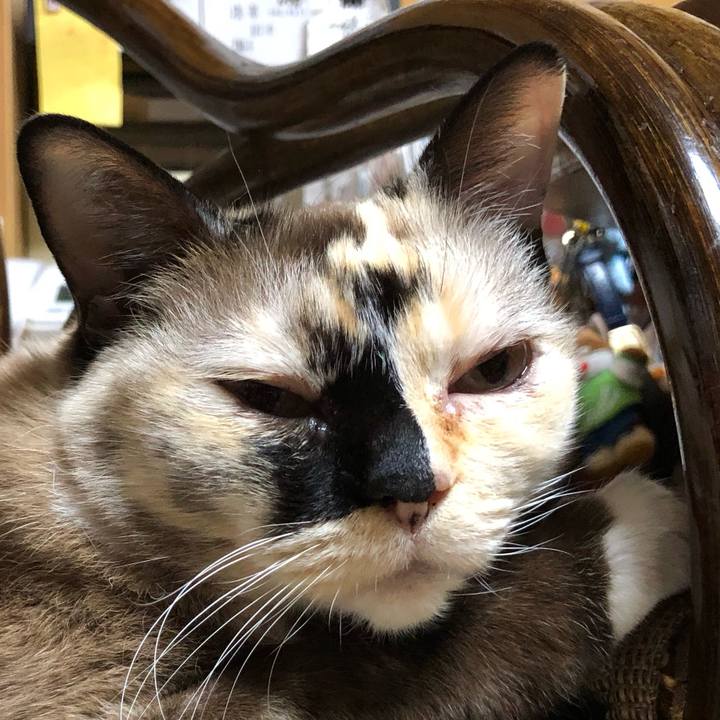 03572634 73cf 4b9a bc94 3b9a7d3a94fb 1673788512462