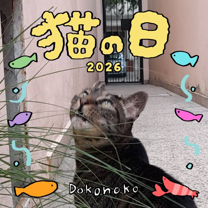 03572884 fc0f 45b6 a8d5 507f5d1ac8e3 1771691942773