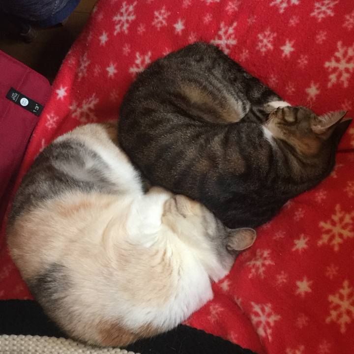 03573f82 0473 458b bc45 4fd95d8af9f4 1574492355918