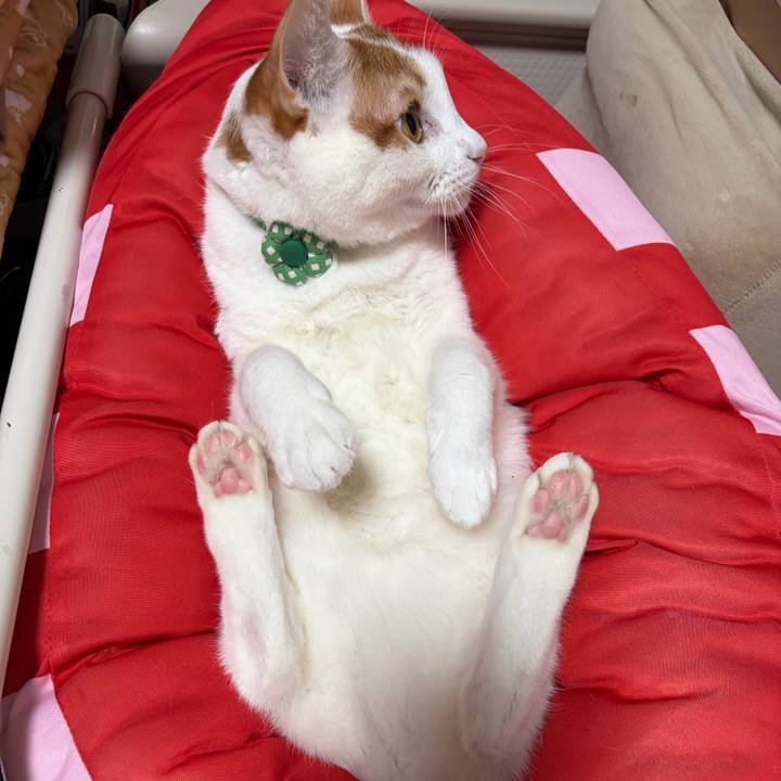 0357464c ea86 4133 86eb 1a5566e42a16 1768573975566