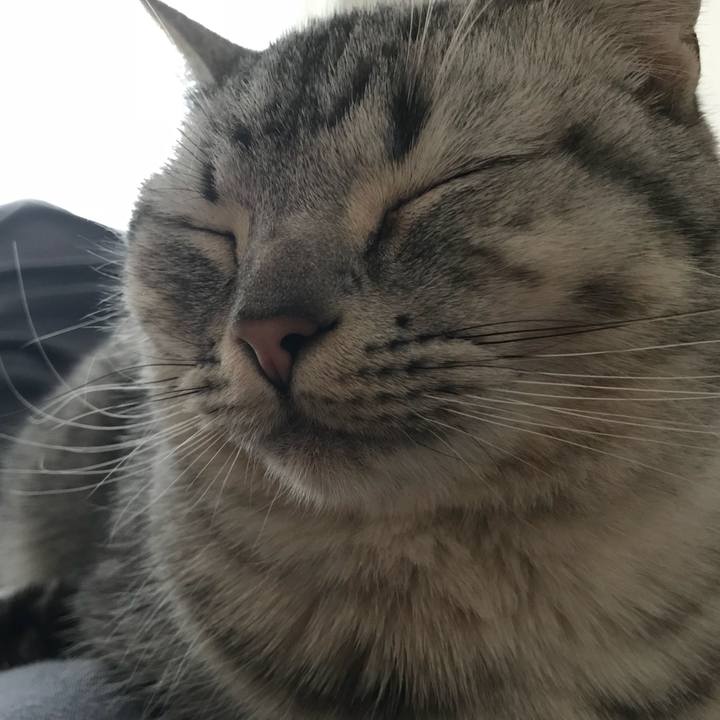 0357767f 791b 4d97 8fb2 2753d695ec49 1513408145397