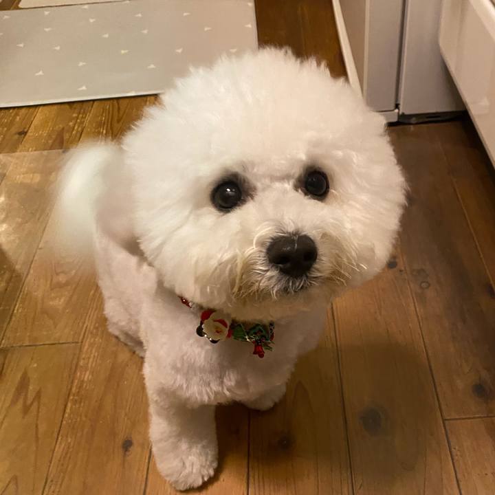 03579a73 9ea7 4d57 b01b b5476322f437 1765798527954