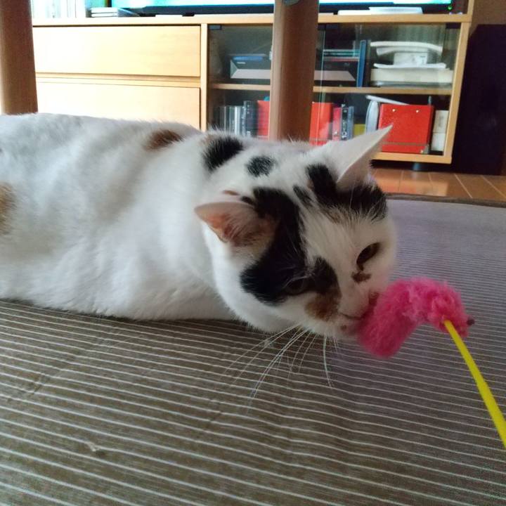 0357a9b2 d2be 4d7f a620 f89b6e2ea635 1595285778616