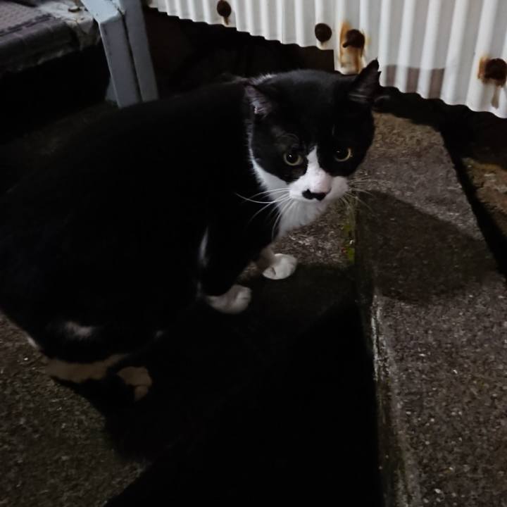 0357ae9c 7342 497d ad0f f650aa609db0 1574165467977