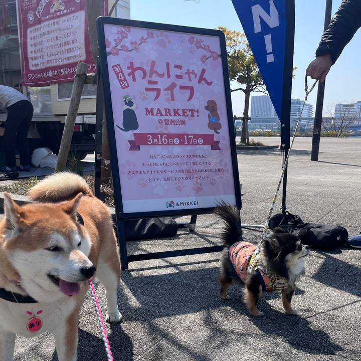 0357af28 9103 4156 9896 5e117ecddf93 1710561114660